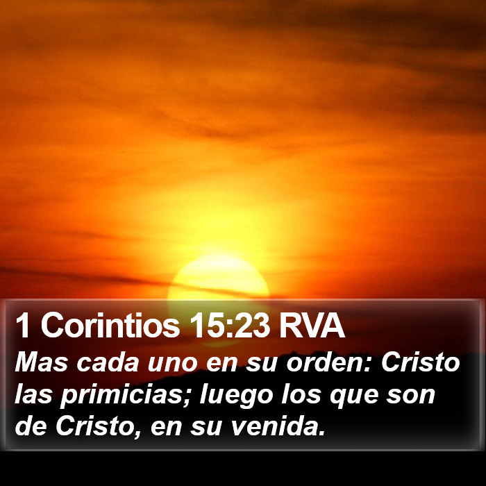 1 Corintios 15:23 RVA Bible Study