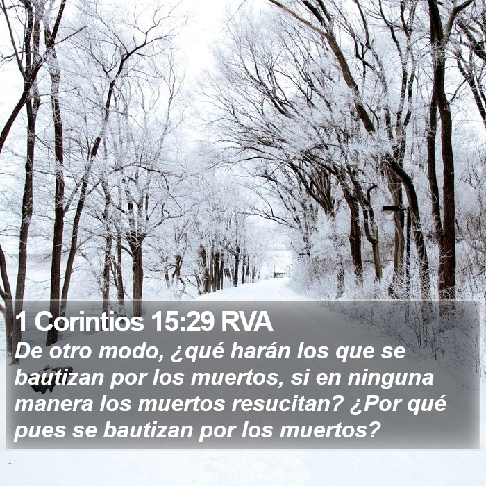 1 Corintios 15:29 RVA Bible Study