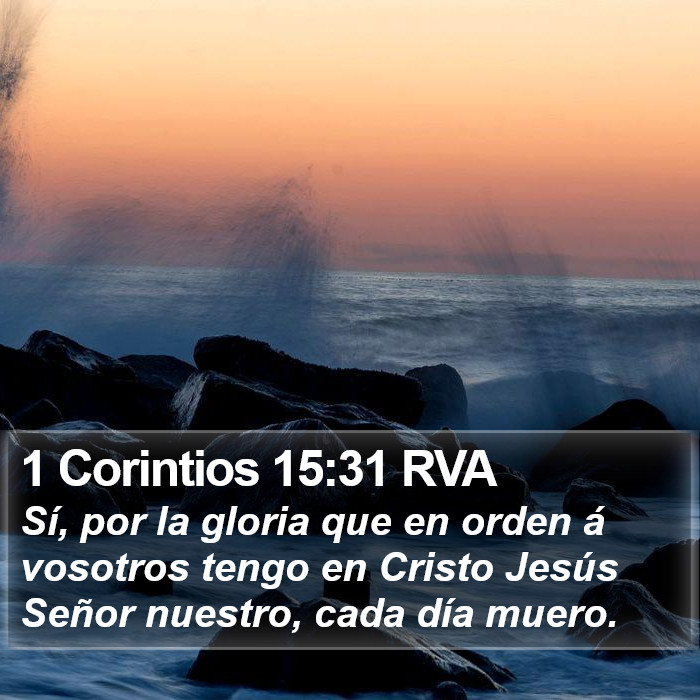 1 Corintios 15:31 RVA Bible Study