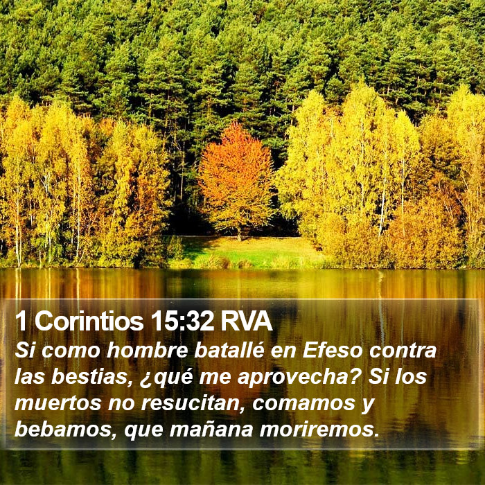 1 Corintios 15:32 RVA Bible Study