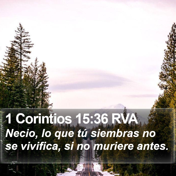 1 Corintios 15:36 RVA Bible Study