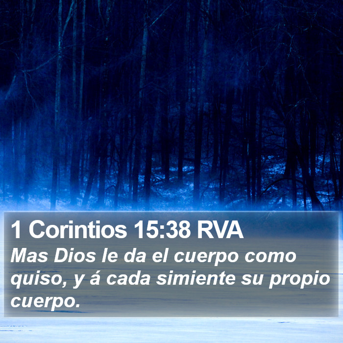 1 Corintios 15:38 RVA Bible Study