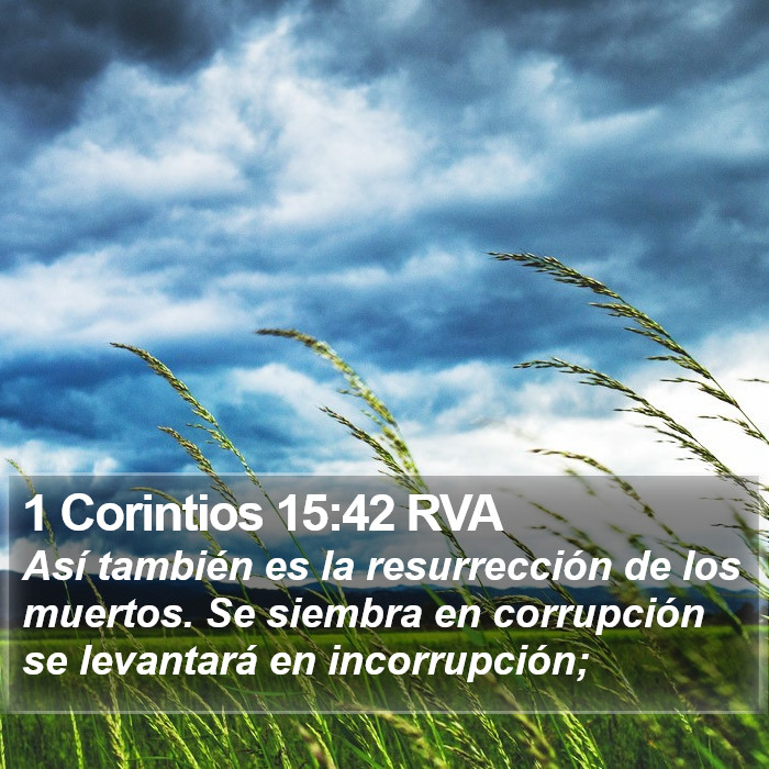 1 Corintios 15:42 RVA Bible Study