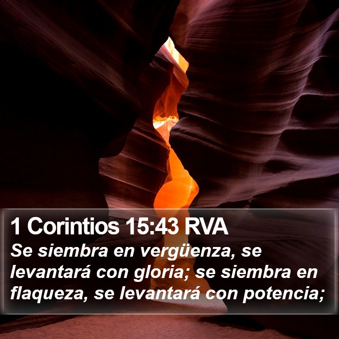 1 Corintios 15:43 RVA Bible Study