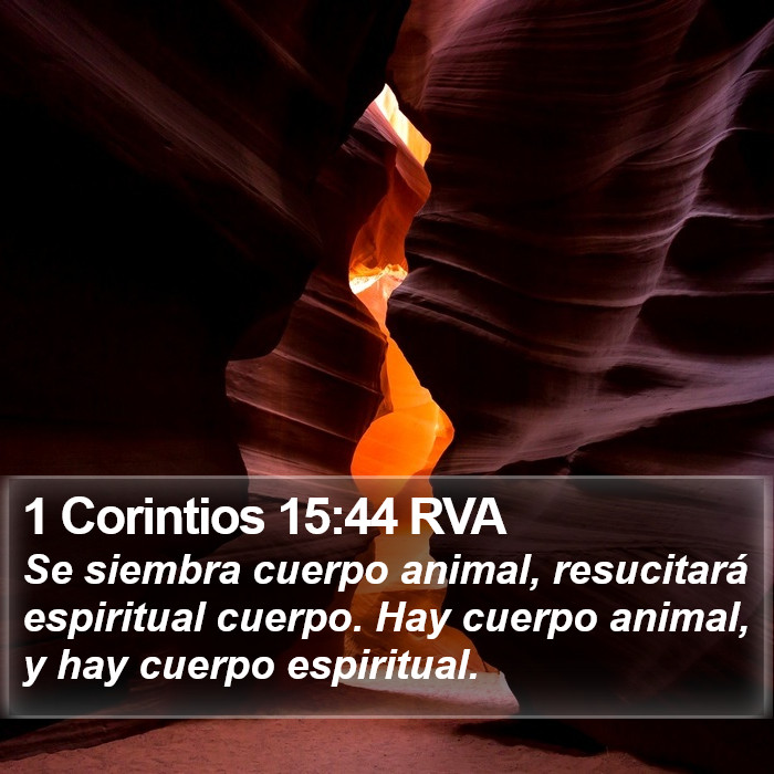 1 Corintios 15:44 RVA Bible Study