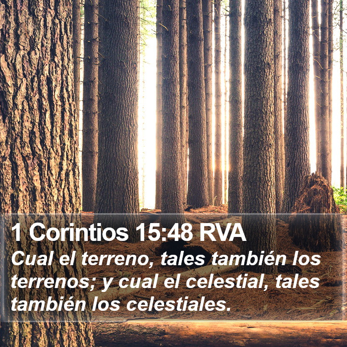 1 Corintios 15:48 RVA Bible Study