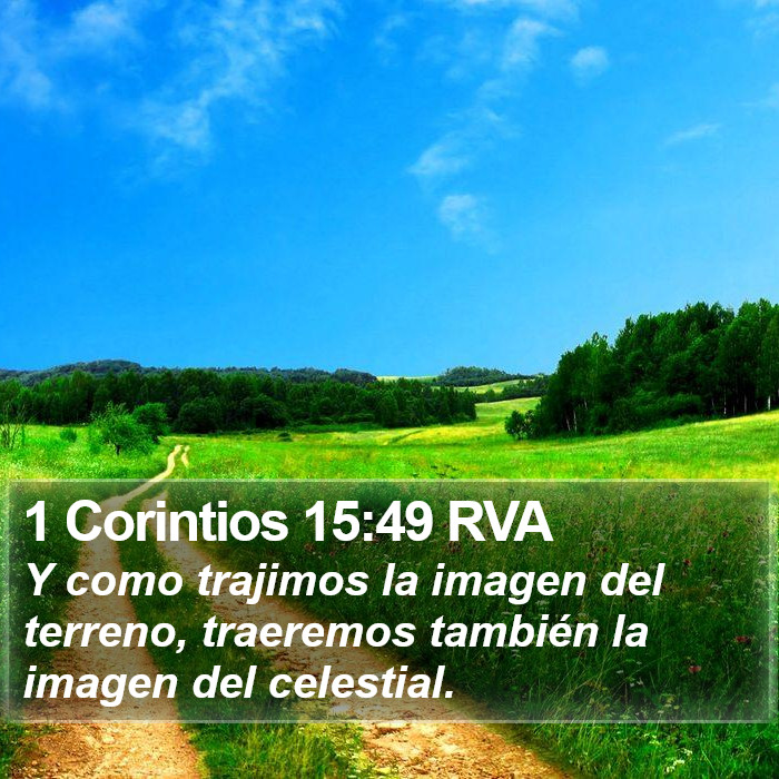 1 Corintios 15:49 RVA Bible Study