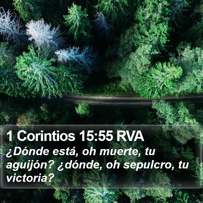 1 Corintios 15:55 RVA Bible Study