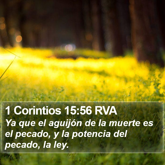 1 Corintios 15:56 RVA Bible Study