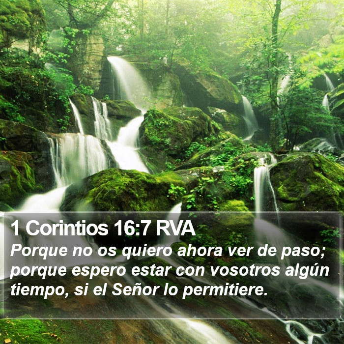 1 Corintios 16:7 RVA Bible Study