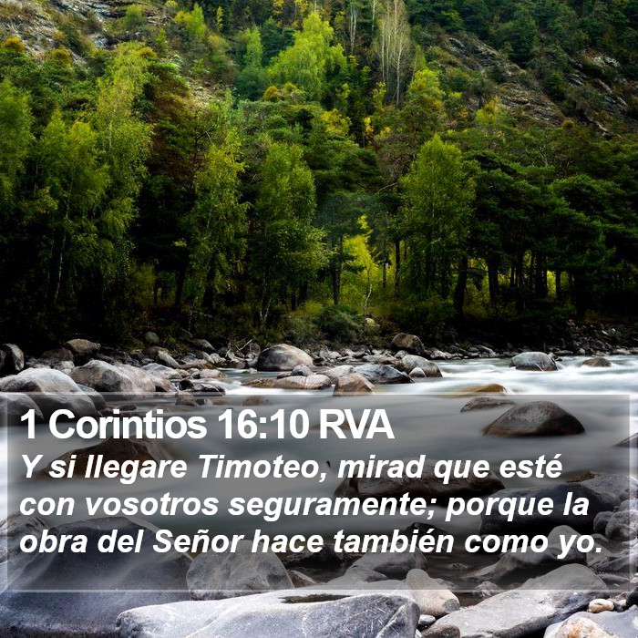 1 Corintios 16:10 RVA Bible Study