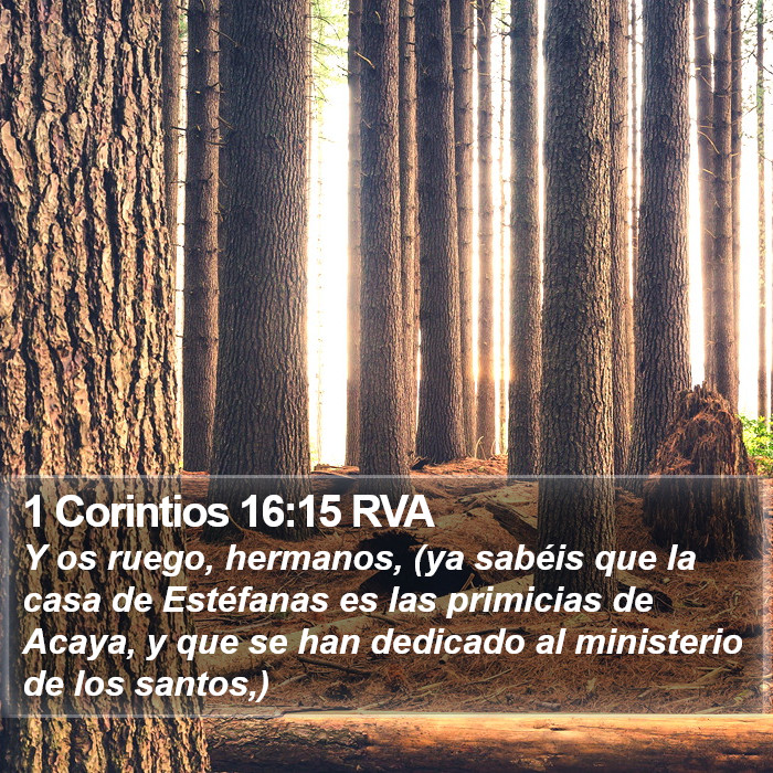 1 Corintios 16:15 RVA Bible Study