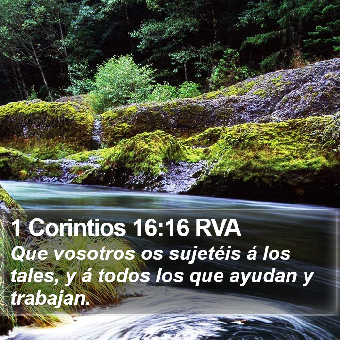 1 Corintios 16:16 RVA Bible Study