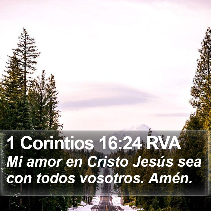 1 Corintios 16:24 RVA Bible Study