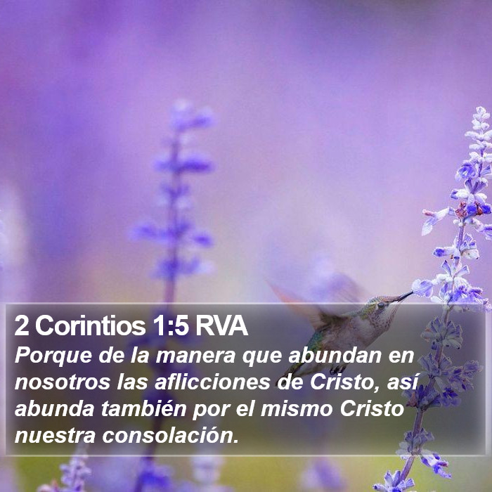 2 Corintios 1:5 RVA Bible Study