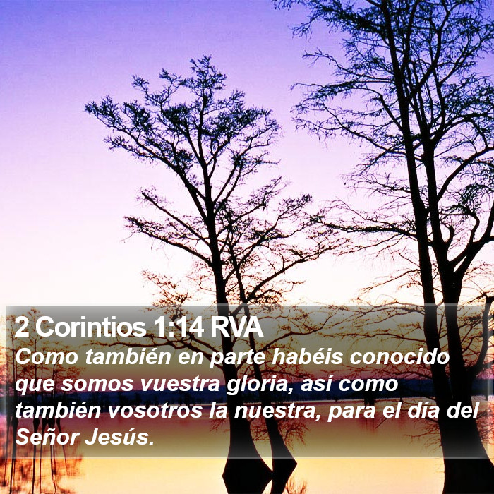 2 Corintios 1:14 RVA Bible Study