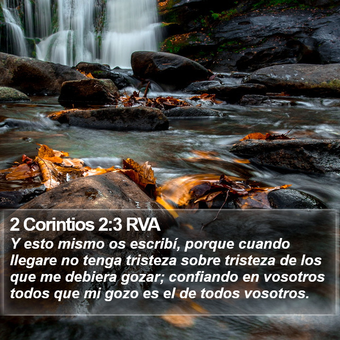 2 Corintios 2:3 RVA Bible Study