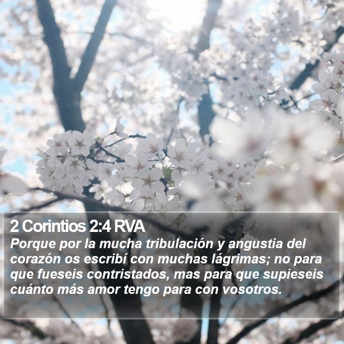 2 Corintios 2:4 RVA Bible Study