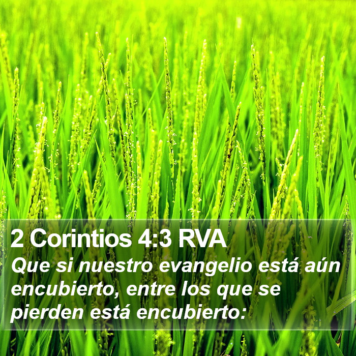 2 Corintios 4:3 RVA Bible Study