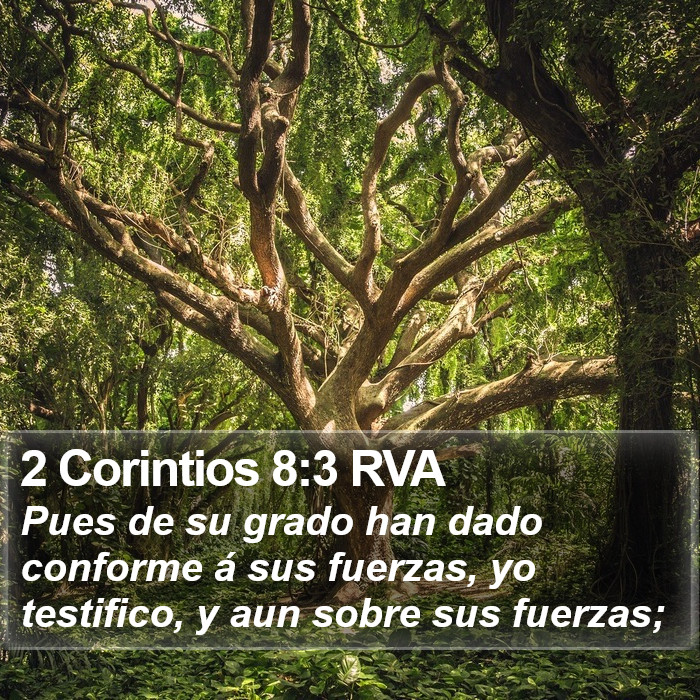 2 Corintios 8:3 RVA Bible Study