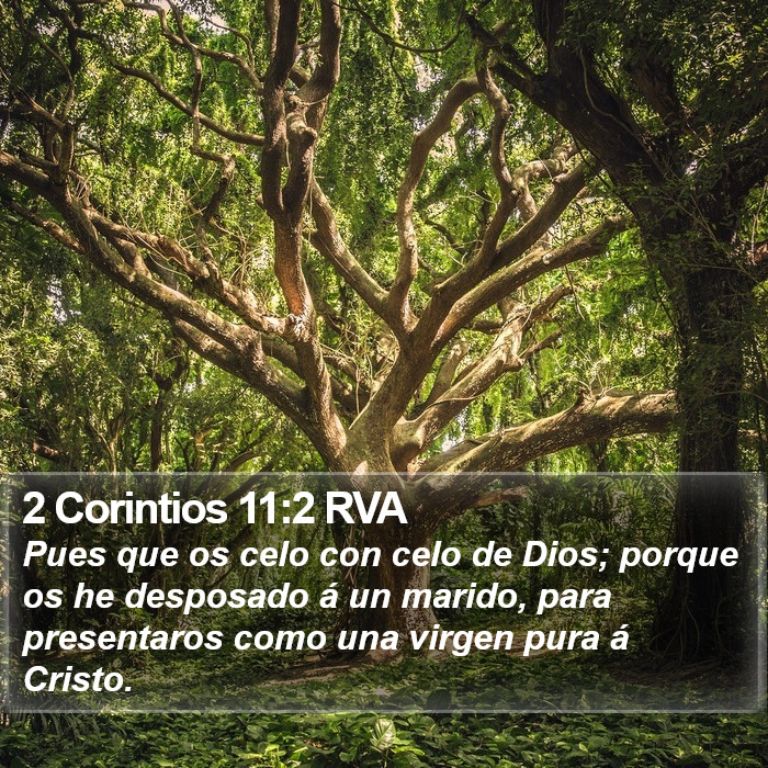 2 Corintios 11:2 RVA Bible Study