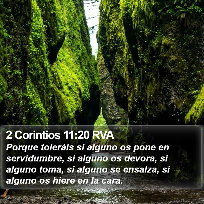 2 Corintios 11:20 RVA Bible Study