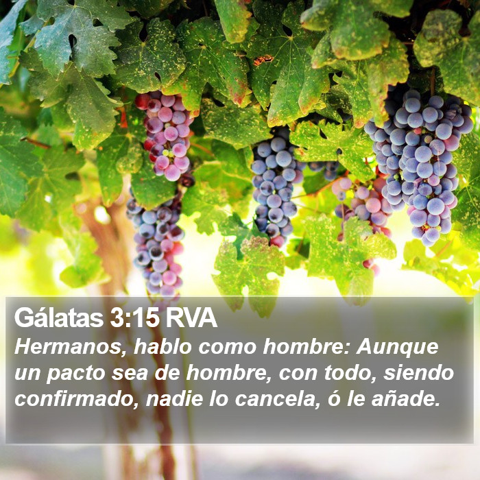 Gálatas 3:15 RVA Bible Study