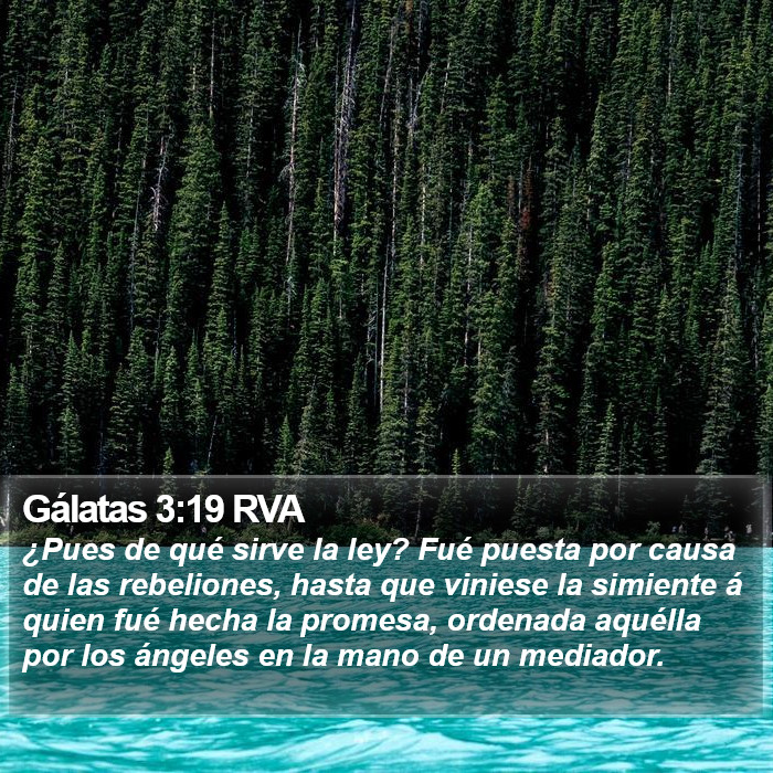 Gálatas 3:19 RVA Bible Study