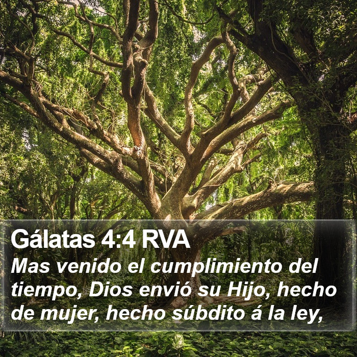 Gálatas 4:4 RVA Bible Study