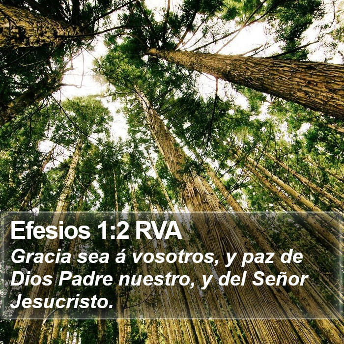 Efesios 1:2 RVA Bible Study