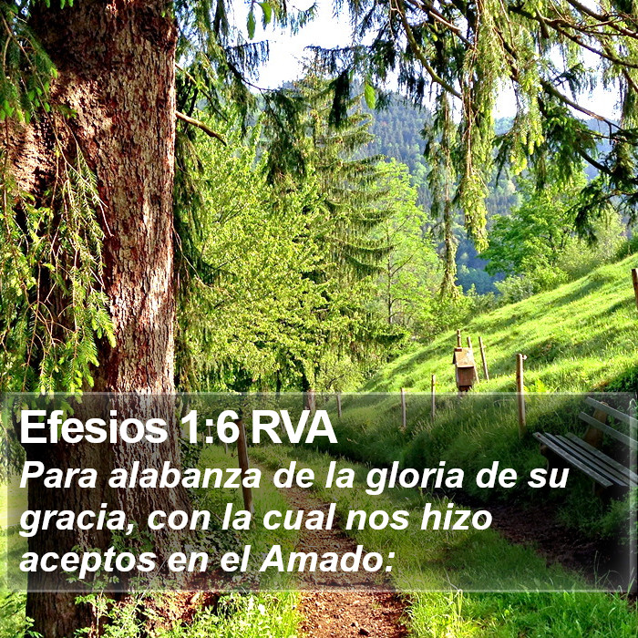 Efesios 1:6 RVA Bible Study