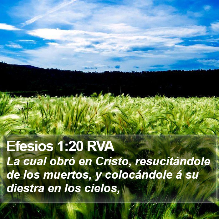 Efesios 1:20 RVA Bible Study