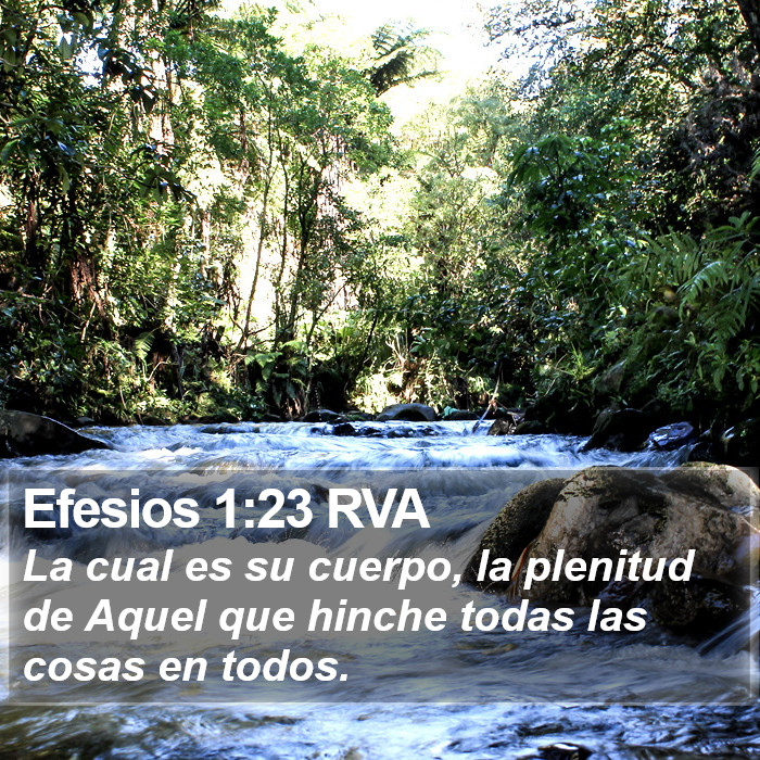 Efesios 1:23 RVA Bible Study