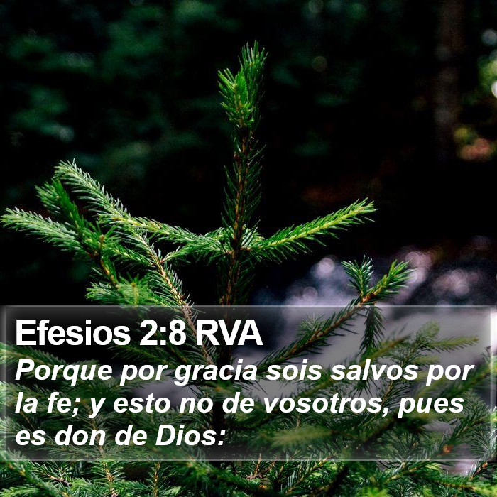 Efesios 2:8 RVA Bible Study