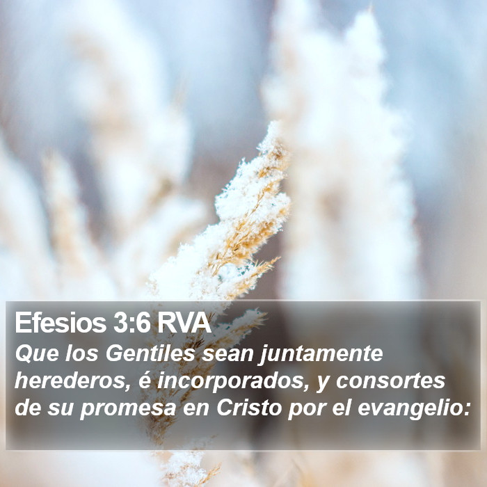 Efesios 3:6 RVA Bible Study