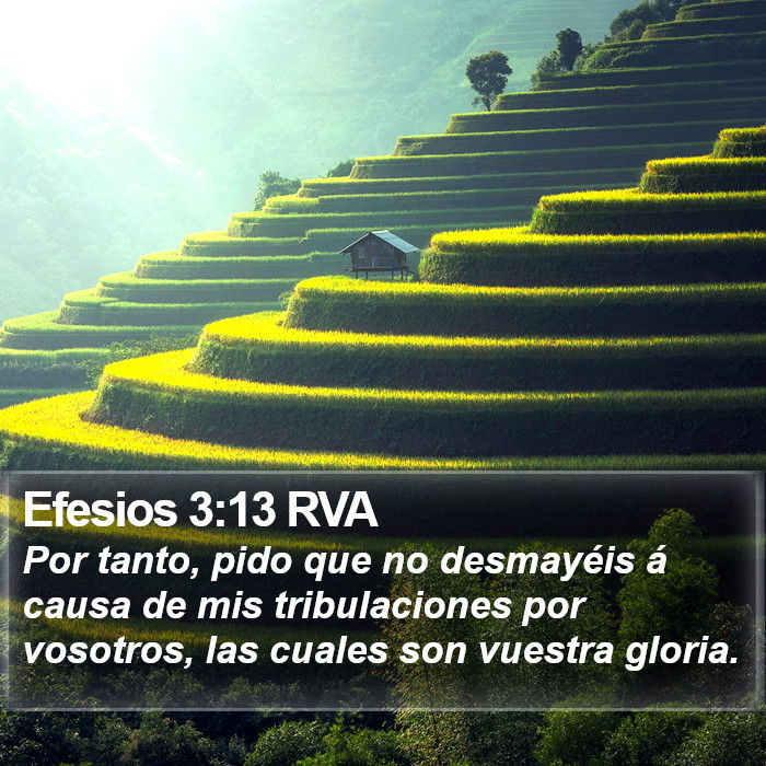 Efesios 3:13 RVA Bible Study