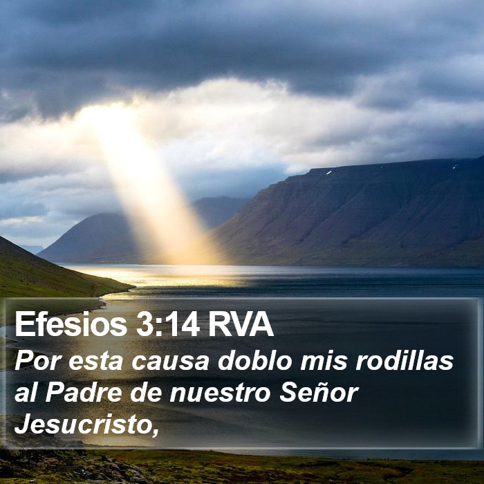 Efesios 3:14 RVA Bible Study