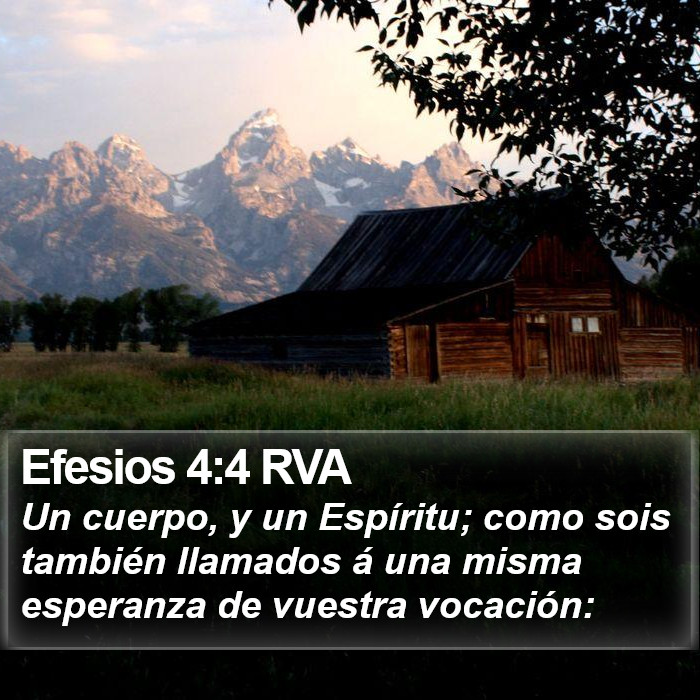 Efesios 4:4 RVA Bible Study