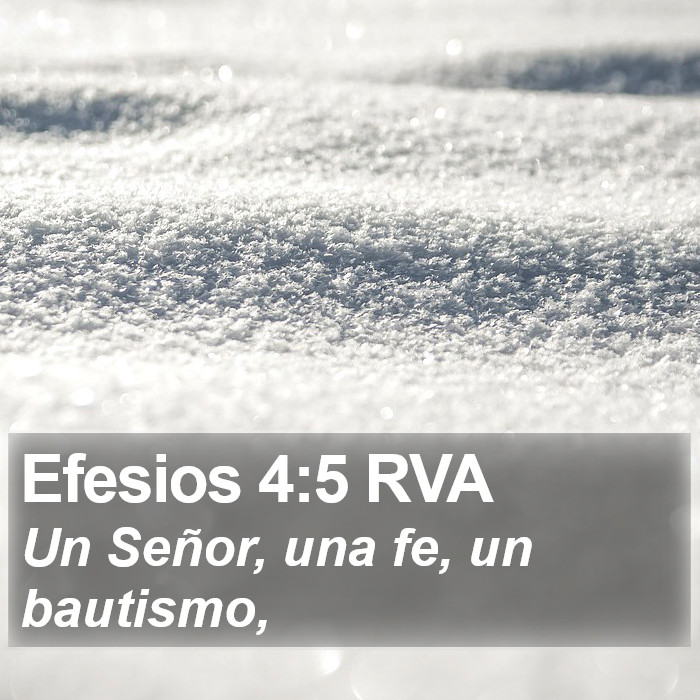 Efesios 4:5 RVA Bible Study