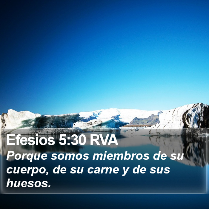 Efesios 5:30 RVA Bible Study