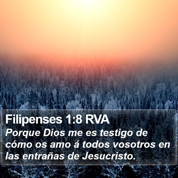 Filipenses 1:8 RVA Bible Study