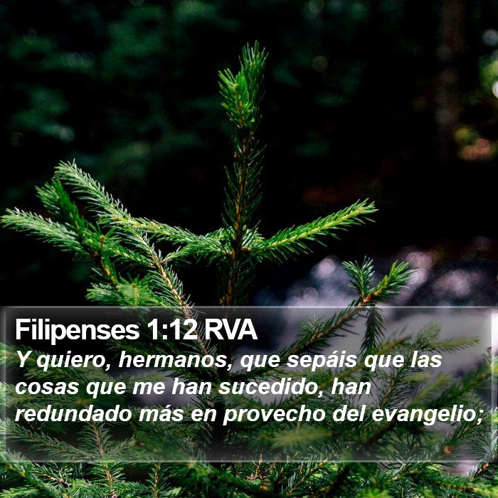 Filipenses 1:12 RVA Bible Study