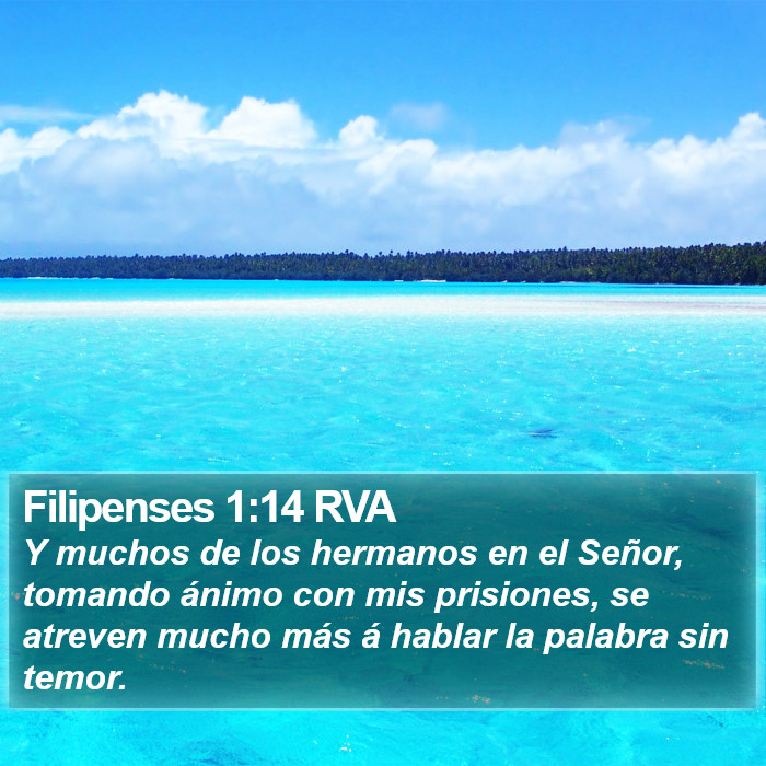 Filipenses 1:14 RVA Bible Study