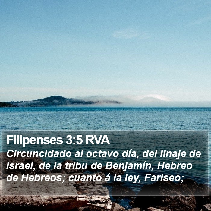 Filipenses 3:5 RVA Bible Study