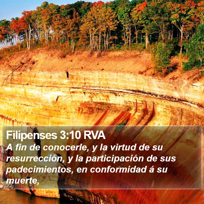 Filipenses 3:10 RVA Bible Study