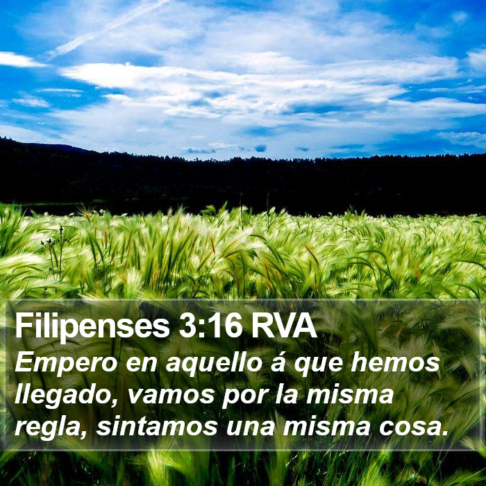 Filipenses 3:16 RVA Bible Study