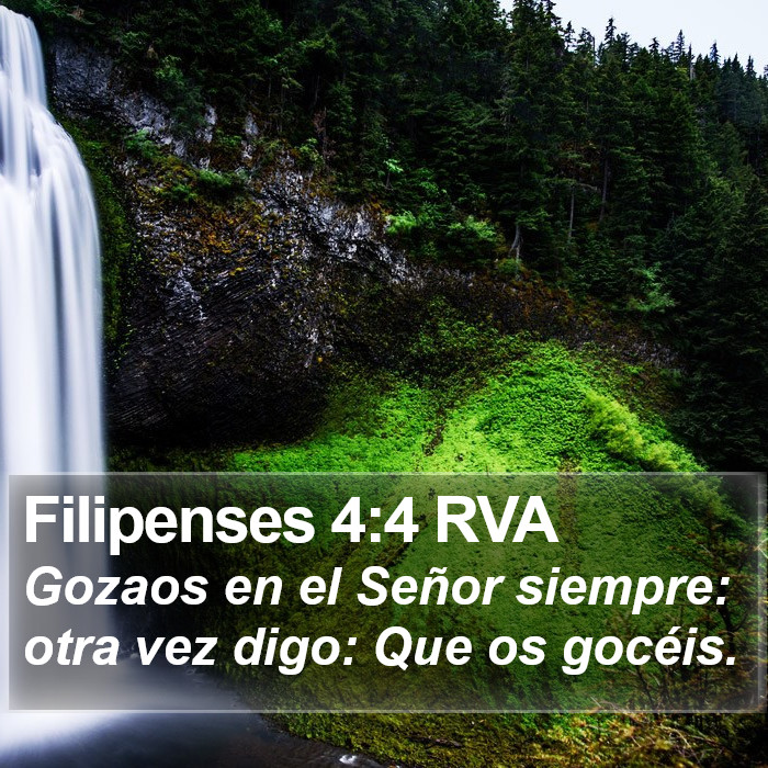 Filipenses 4:4 RVA Bible Study