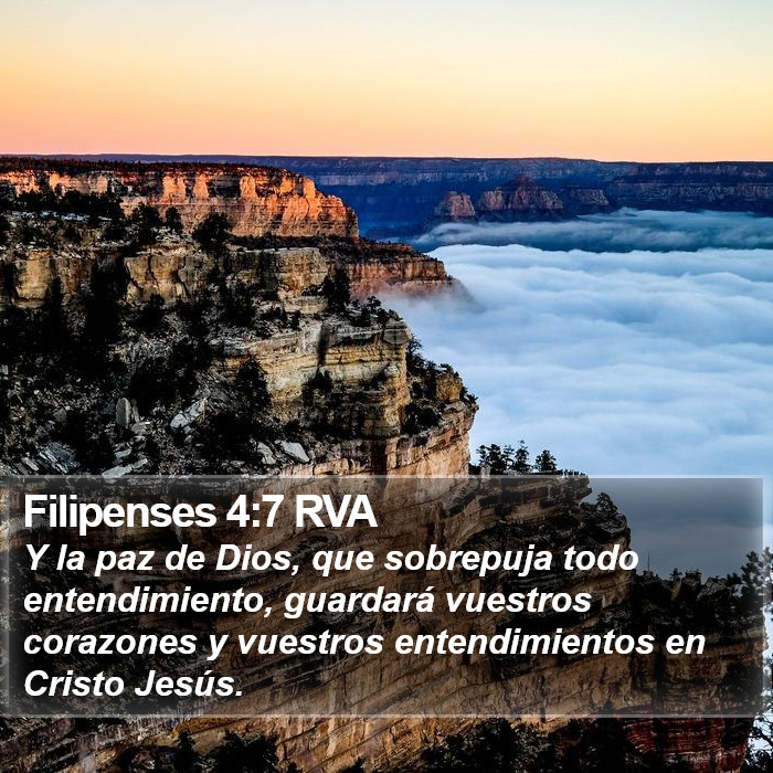 Filipenses 4:7 RVA Bible Study