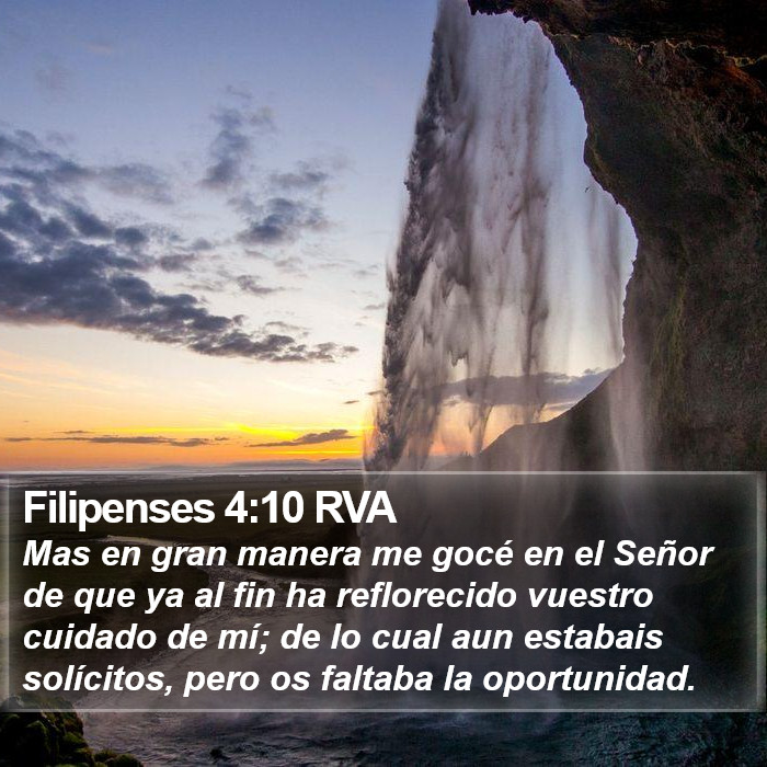 Filipenses 4:10 RVA Bible Study