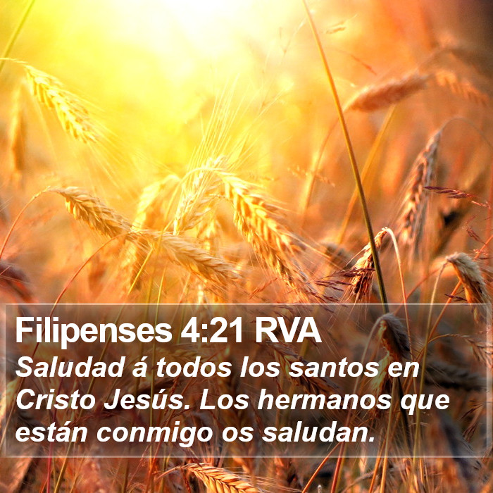 Filipenses 4:21 RVA Bible Study